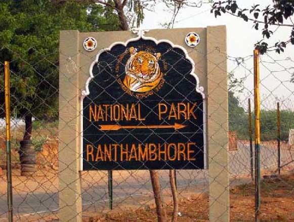 Ranthambore Tour Package from Delhi